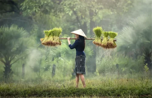 viaggio in oriente in viethnam e cambogia