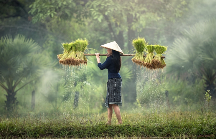 Viaggio in Oriente Vietnam e Cambogia