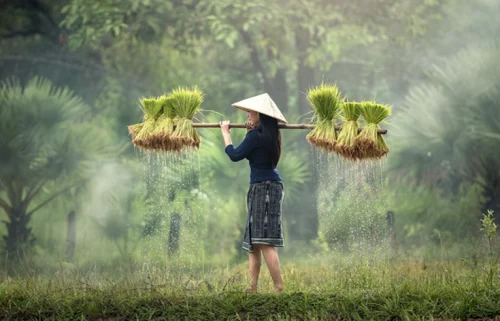 Viaggio in Oriente Vietnam e Cambogia